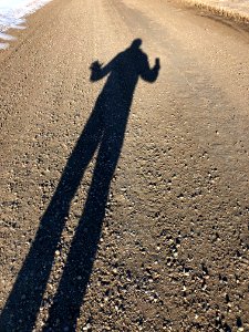 Shadow Longing