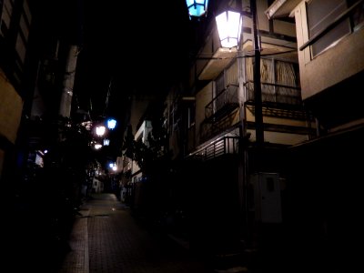 Yudanaka shibu onsen area