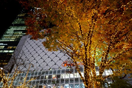 Tokyo night in Autumn