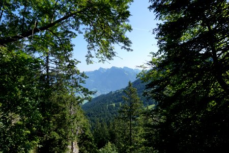 Niederurnertal (Kanton Glarus) photo