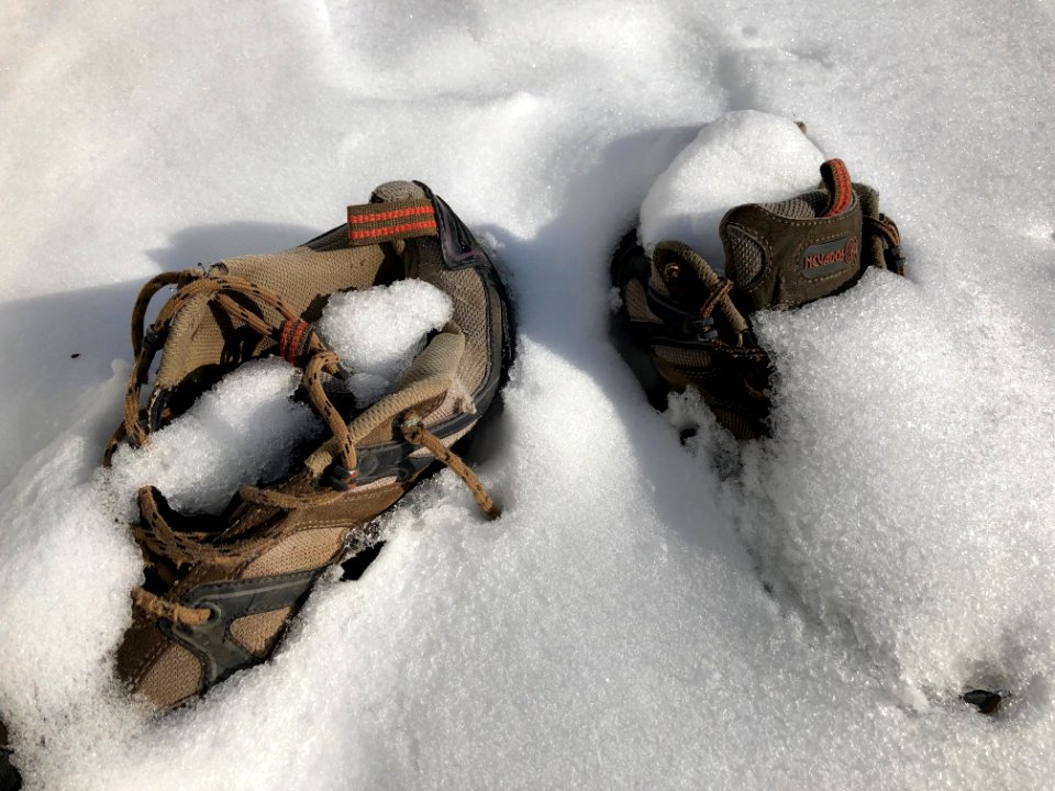 Anyone Seen My Shoes?