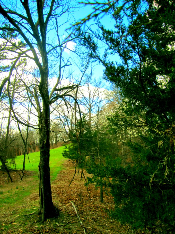 Walk8