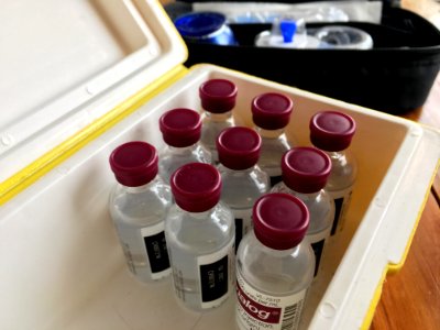 Nine Bottles of Insulin on The Wall...