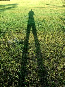 I AM TALL