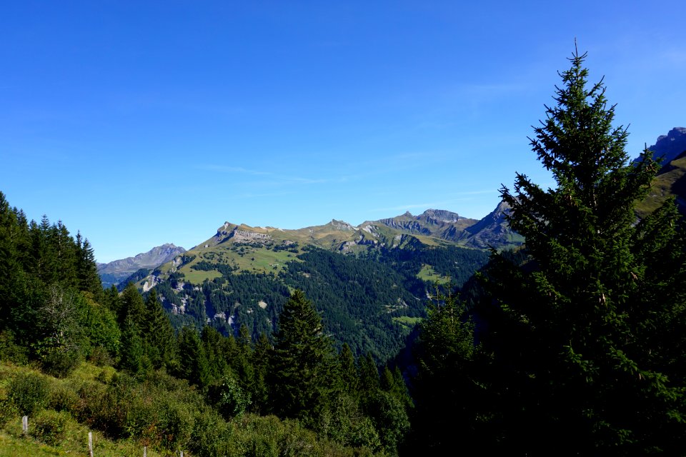 unterhalb Firstboden (Kanton Glarus). Fanenstock. photo