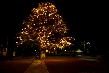 Christmas tree