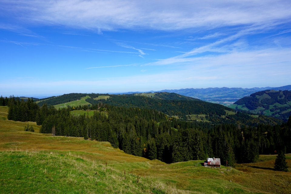 Unterhalb Büelhöchi (Kanton Schwyz). Sattelegg.