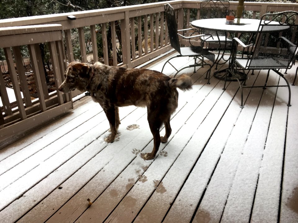 I Detect Snow
