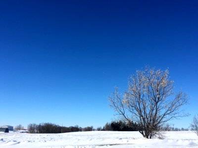 Signs of Spring photo