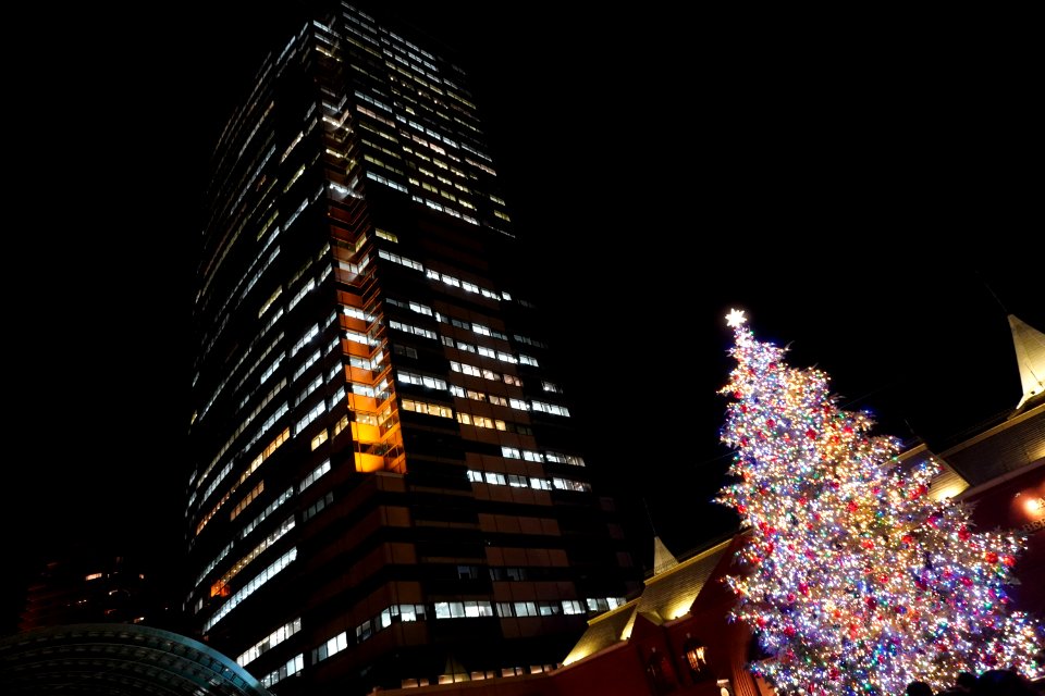Christmas tree at Yebisu garden place
