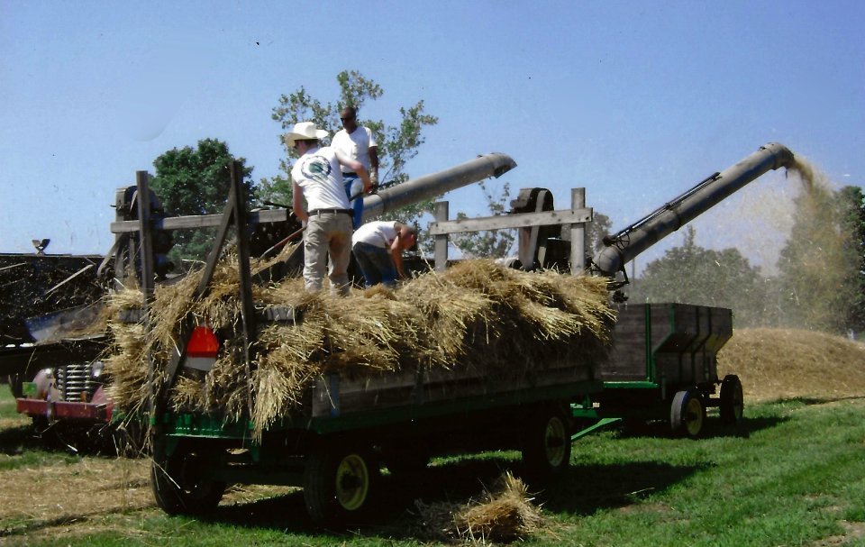 Old Time Wheat Threshing