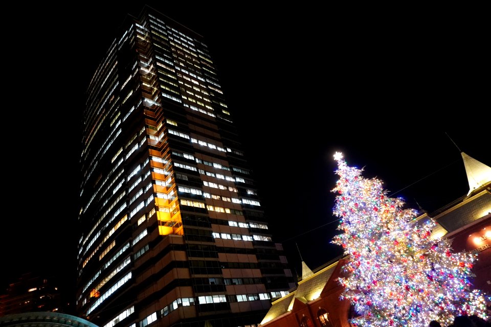 Christmas tree at Yebisu garden place