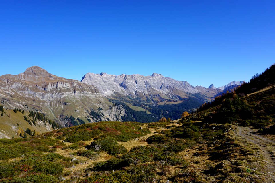 Jeninser Alp (Graubünden). Schesaplana. photo