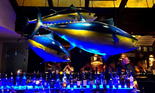 Bar in BASS PRO SHOP