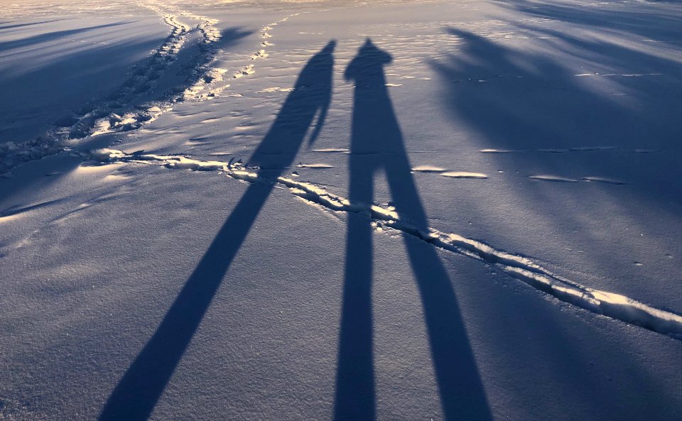 2021/365/50 We Are Tall Together
