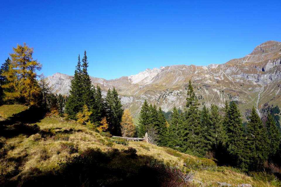 Lärchli, Luvadina (Graubünden)
