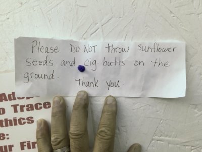 Things to Keep off the Ground