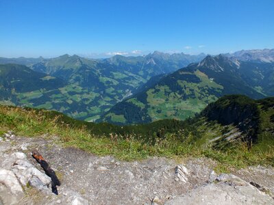 Green fields mountains