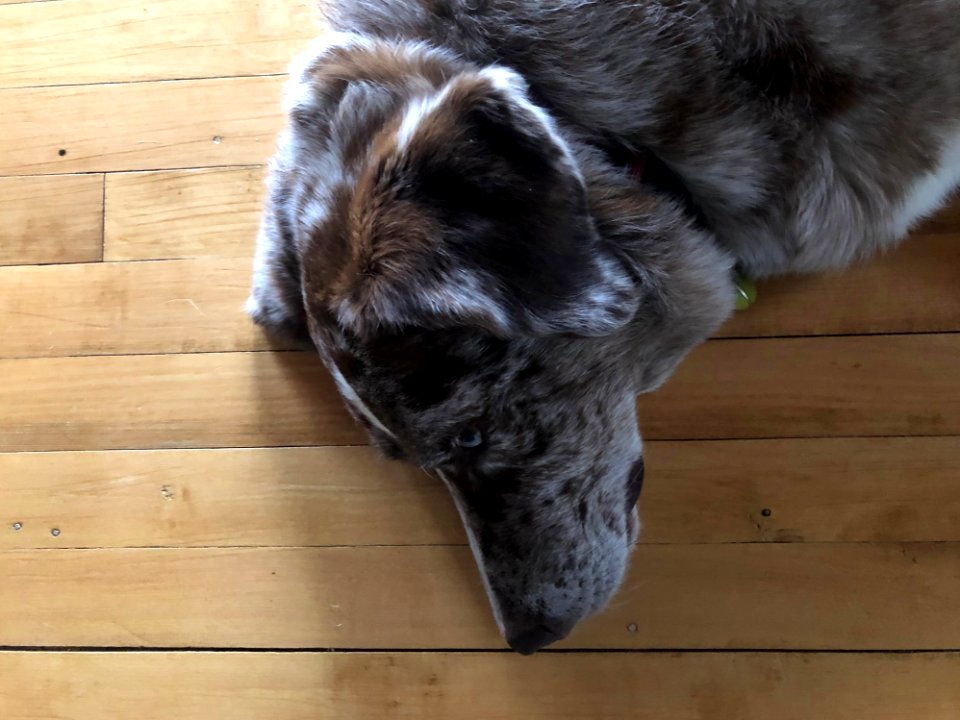 I'm Trying to Sleep Here