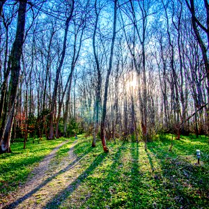 20210411 Buschletten 004-2 HDR
