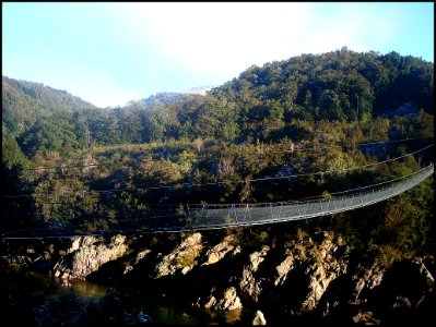 Buller Gorge Swingbridge, New Zealand, 08 / 2011