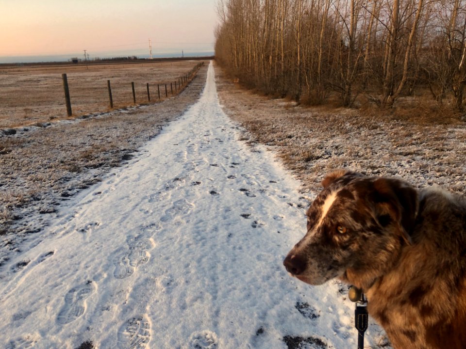 Let's Take the Long Way....