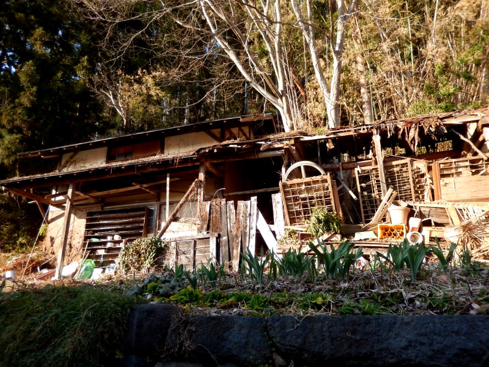 Yudanaka shibu onsen area