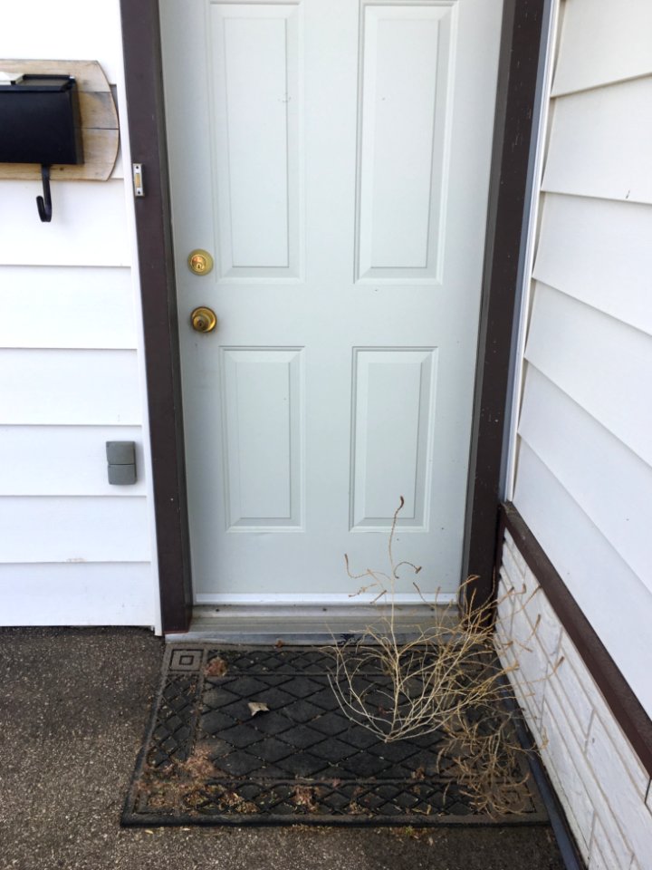 The Welcome Wagon is a Pair of Tumbleweeds