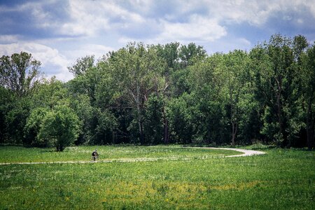 Field trail path