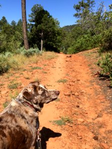 Out and About on the Red Dirt Trail photo