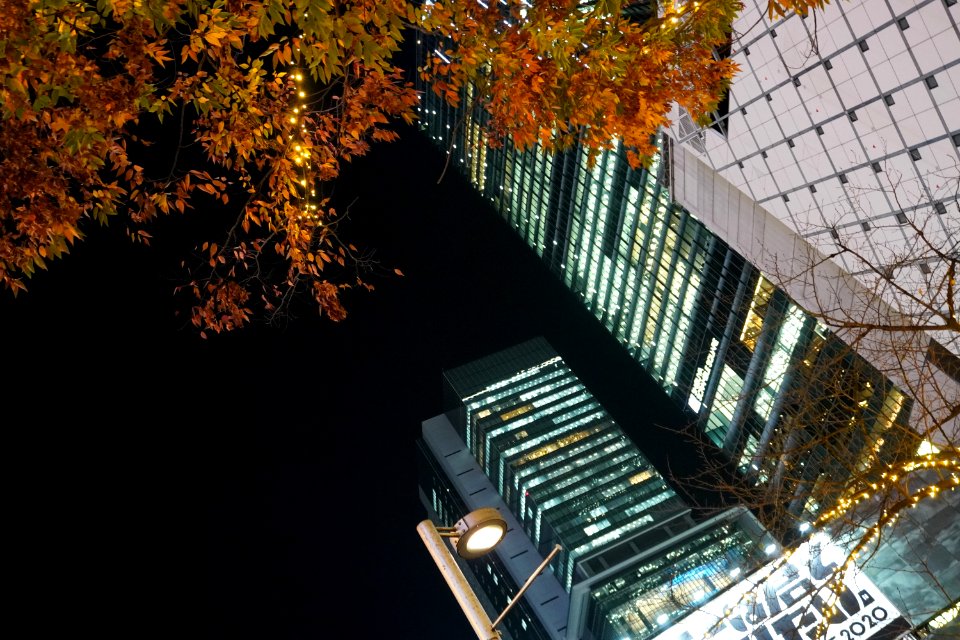 Tokyo night in Autumn