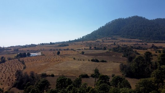 SEIARN SEIF HUITZILAC COAJOMULCO 0037