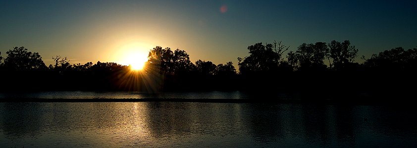 Sunset at Brewer Park,Plant City,fl.