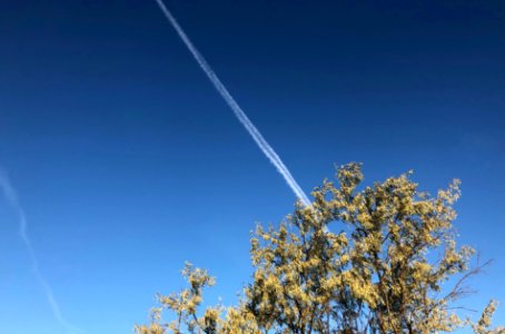 Sky Scraped