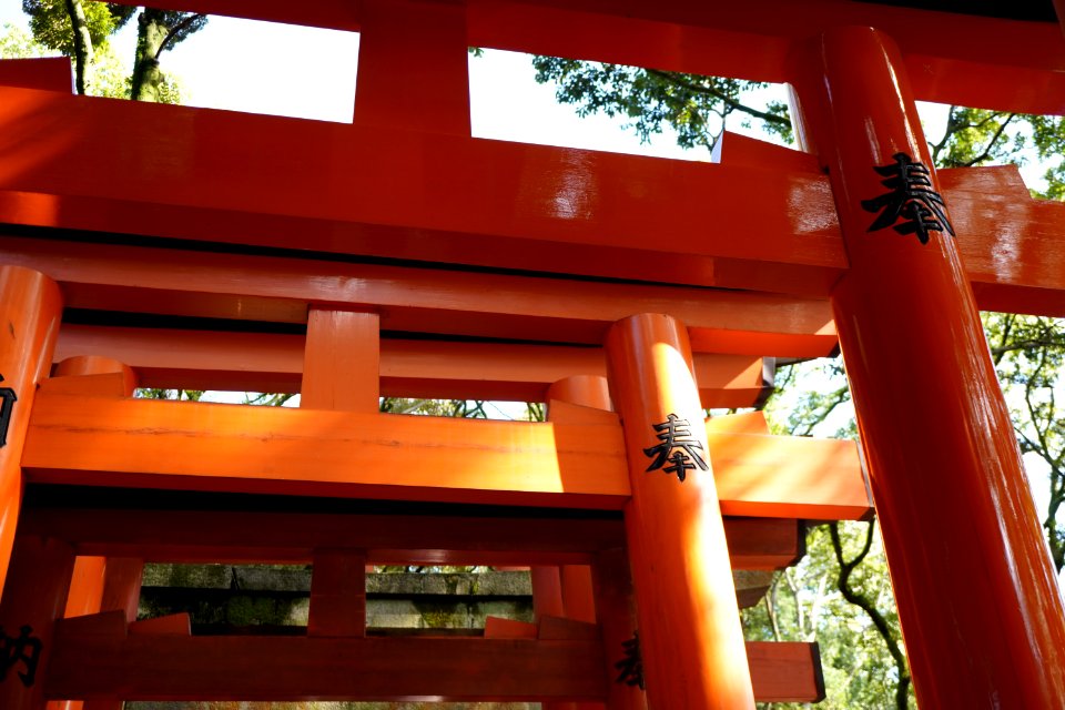 Senbon Torii photo