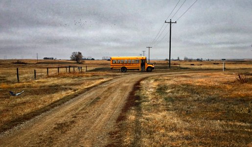 2019/365/95 Bus Lines