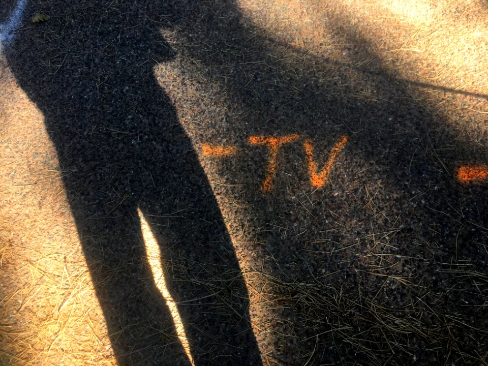 2017/365/298 Not Seen on TV