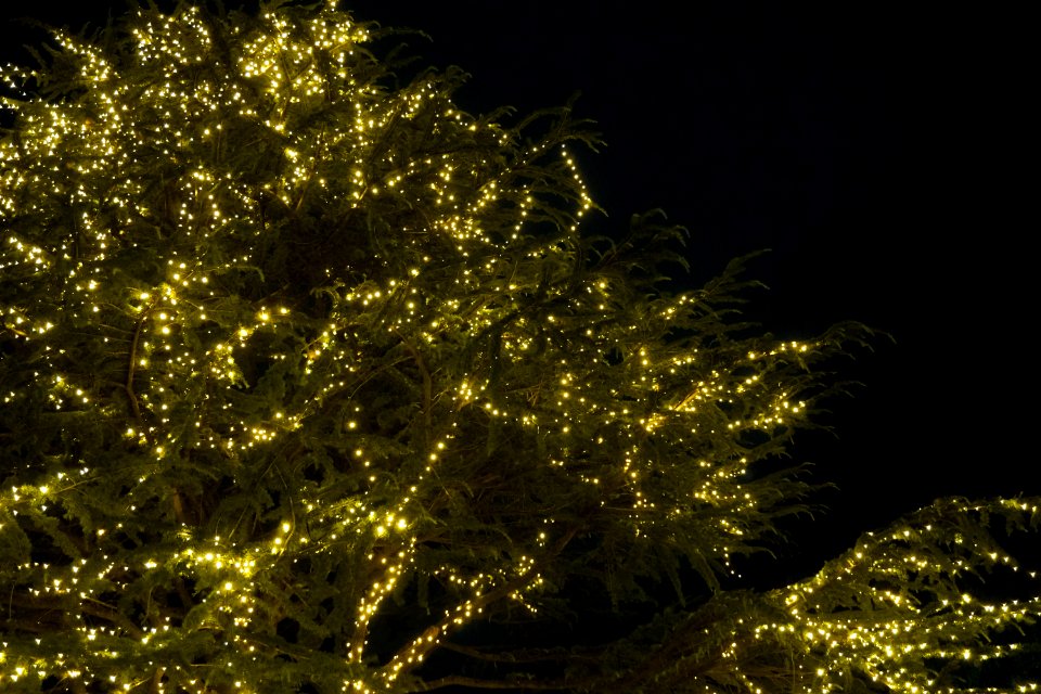 Christmas tree