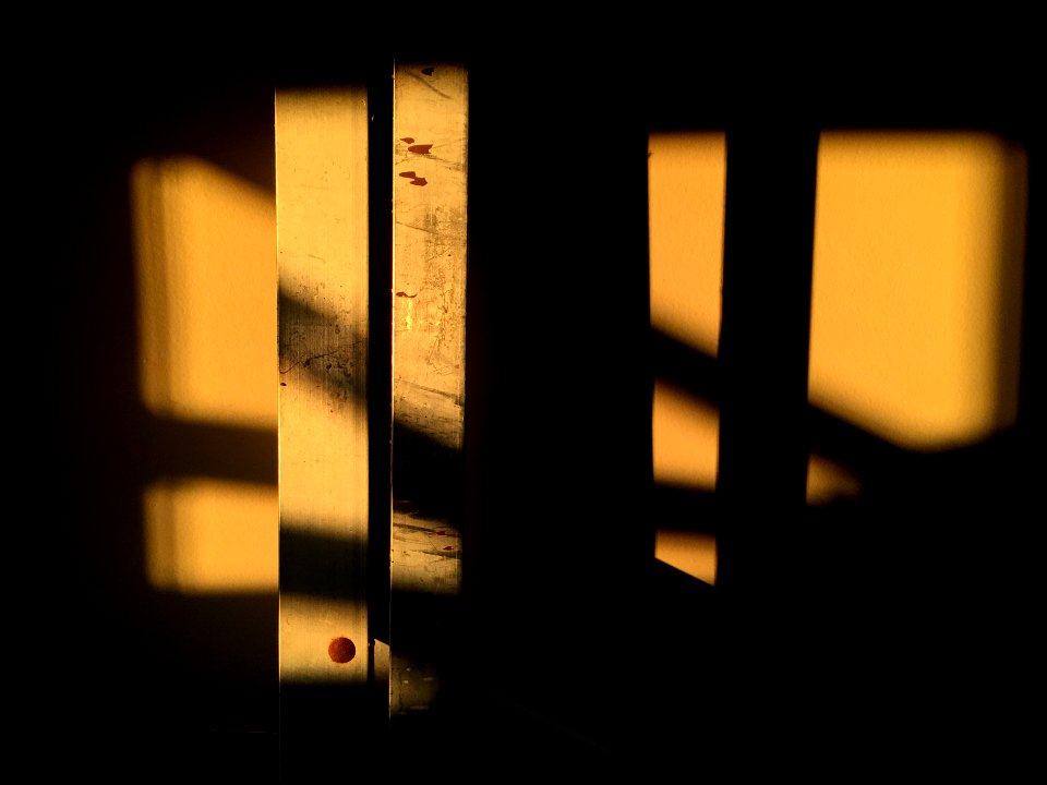 Hanging Out in the Golden Hour Light