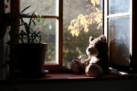 Plant autumn morning