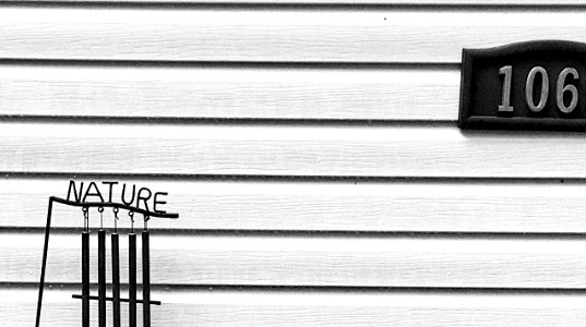 The Nature of DS106