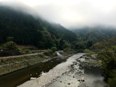 Foggy scenary