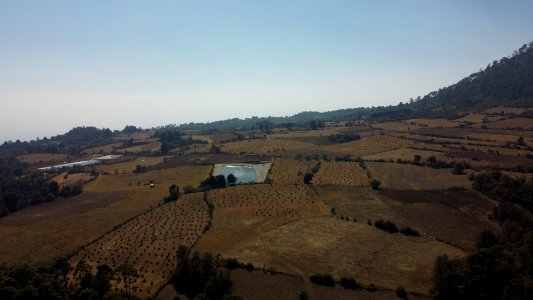 SEIARN SEIF HUITZILAC COAJOMULCO 0086