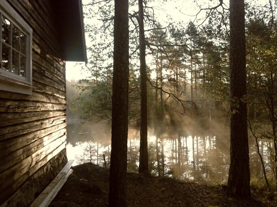 Nature rural peaceful