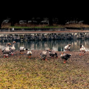 20210207 Sonntag 025 HDR-FB