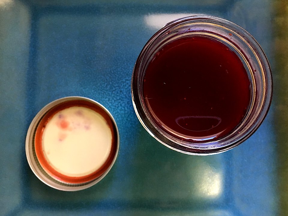 2016/366/354 Fresh Cactus Jelly