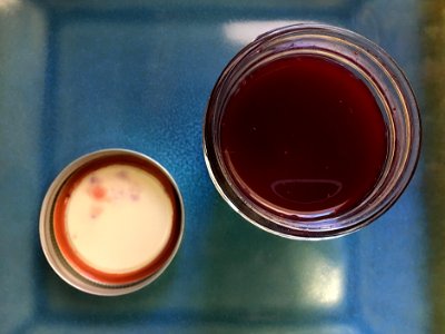 2016/366/354 Fresh Cactus Jelly