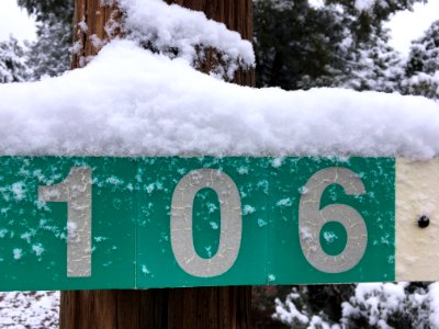 Snowy #ds106