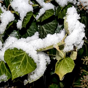 20210207 Schnee 007 HDR-FB