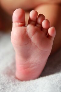 Leg baby child photo